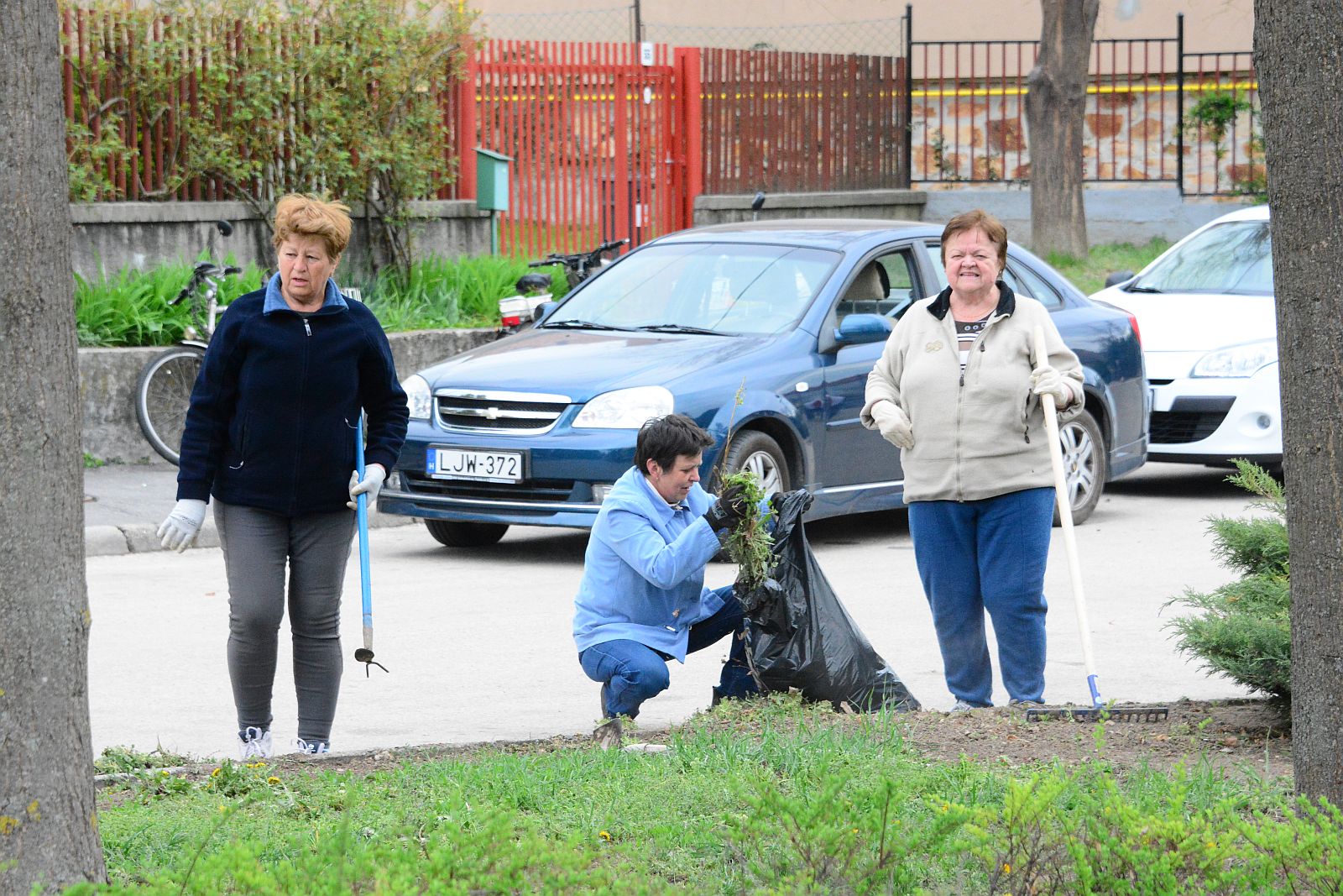 Öreghegyi nyugdíjasok környezetszépítő akciója a Bory téren